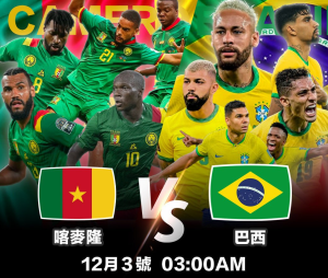 Read more about the article 世界盃>>喀麥隆vs巴西